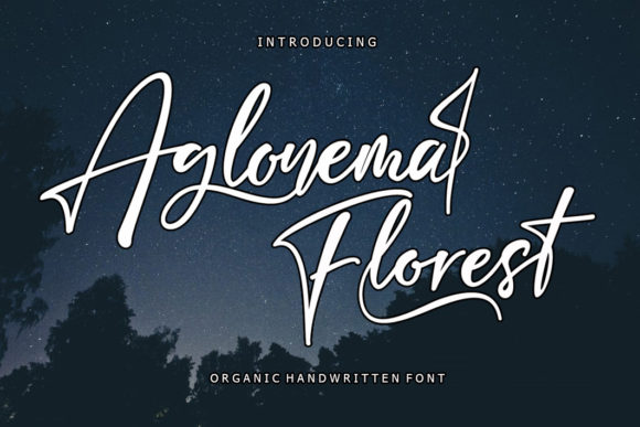 Aglonema Florest Review