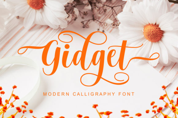 Gidget: A Font That Elevates Campaigns