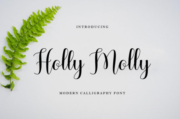 Holly Molly: A Script Font for Elegant Design