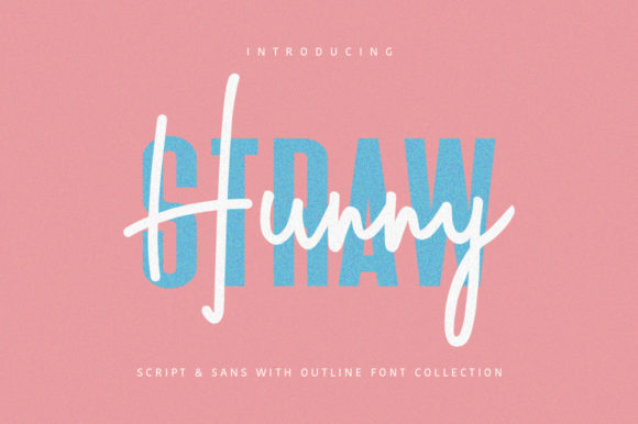 Hunny Straw Review: A Sweet Script for Designers