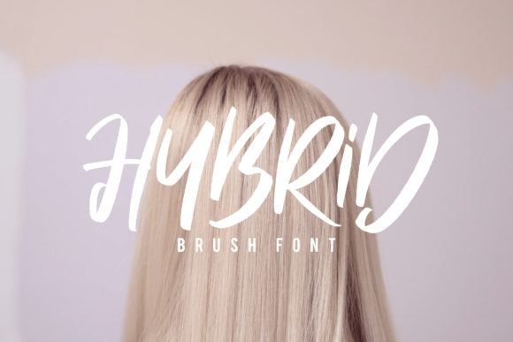 Hybrid: A Font That Speaks Volumes